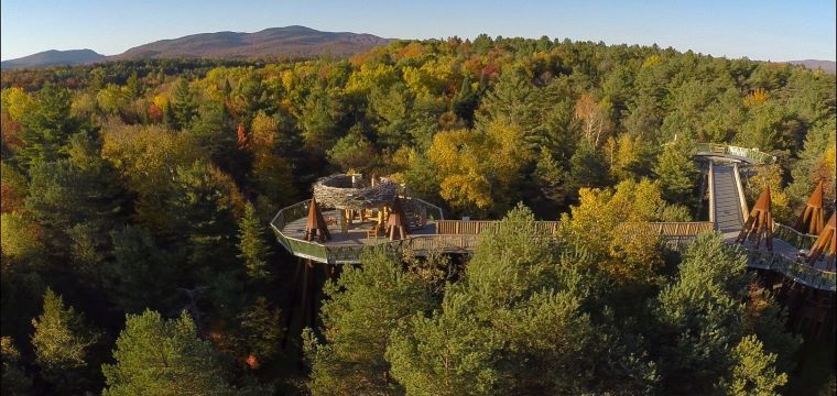 The Wild Center